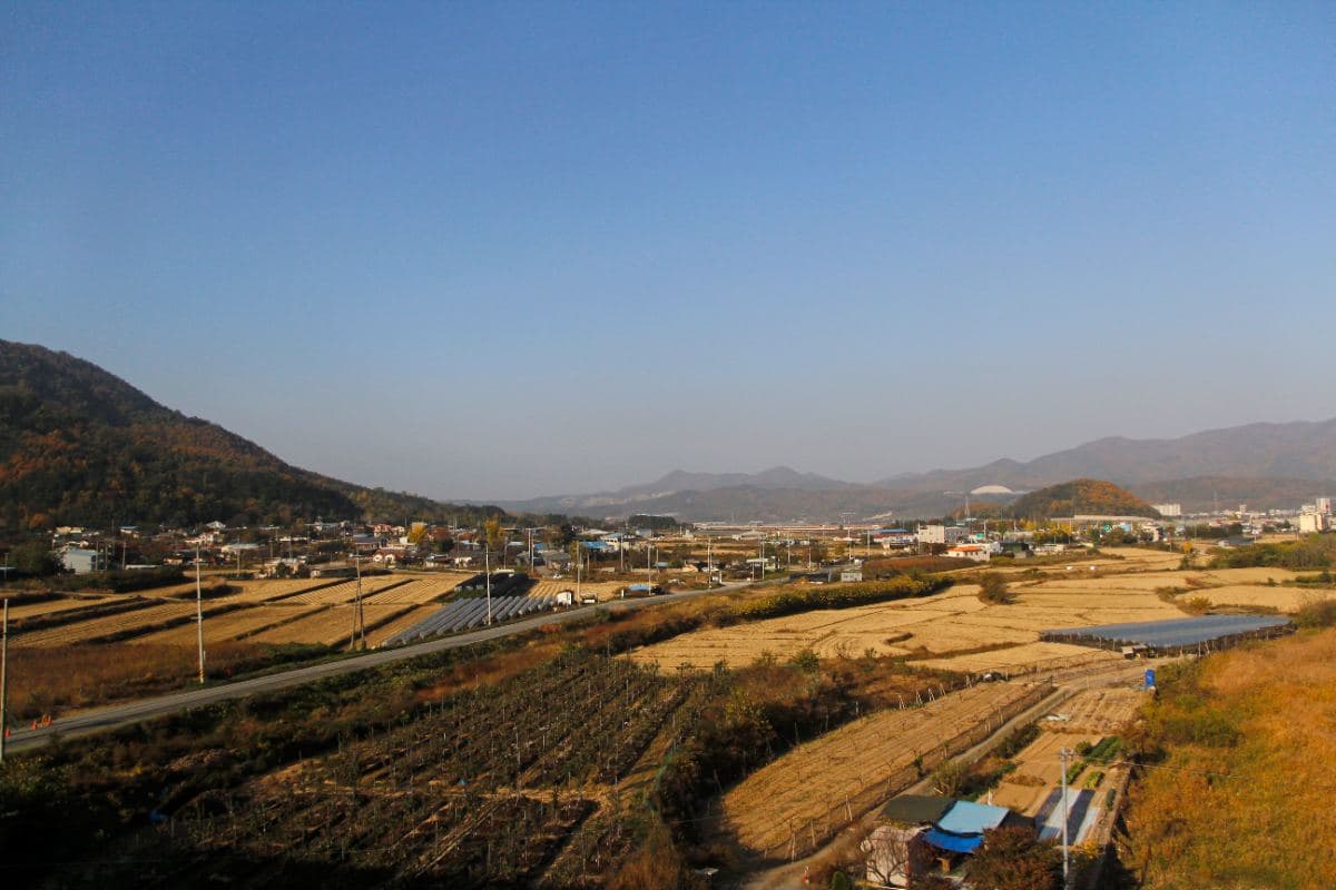 Low-Lying Urban Areas